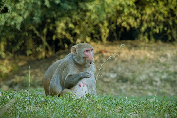 Rébellion théâtrale : L'engagement politique en scène